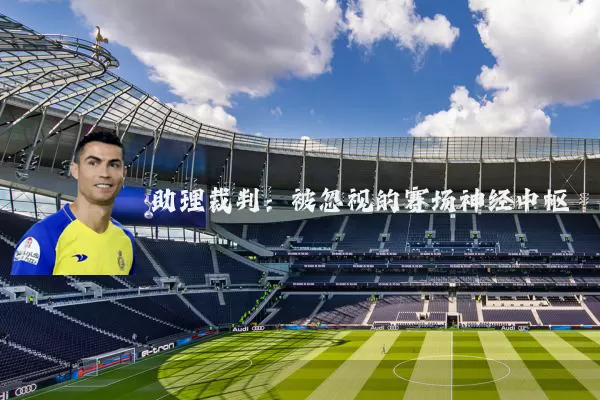 助理裁判：被忽视的赛场神经中枢